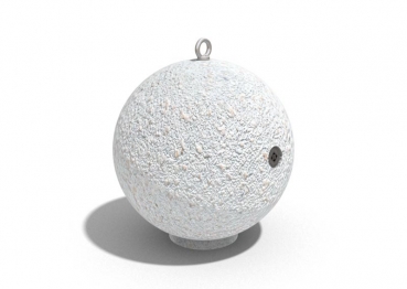 Poller 10